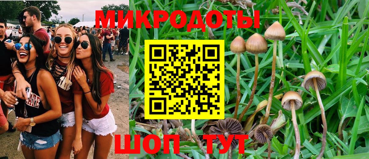 купить  сайты  Галлюциногенные грибы Magic Shrooms  Вход с VPN  Саранск 